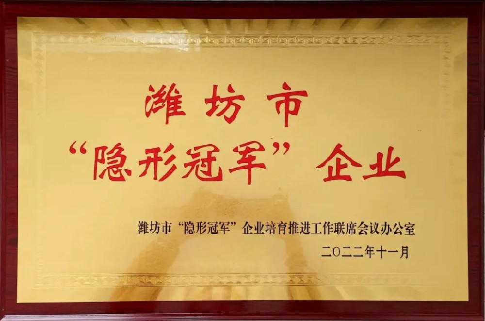 隐形冠军 企业